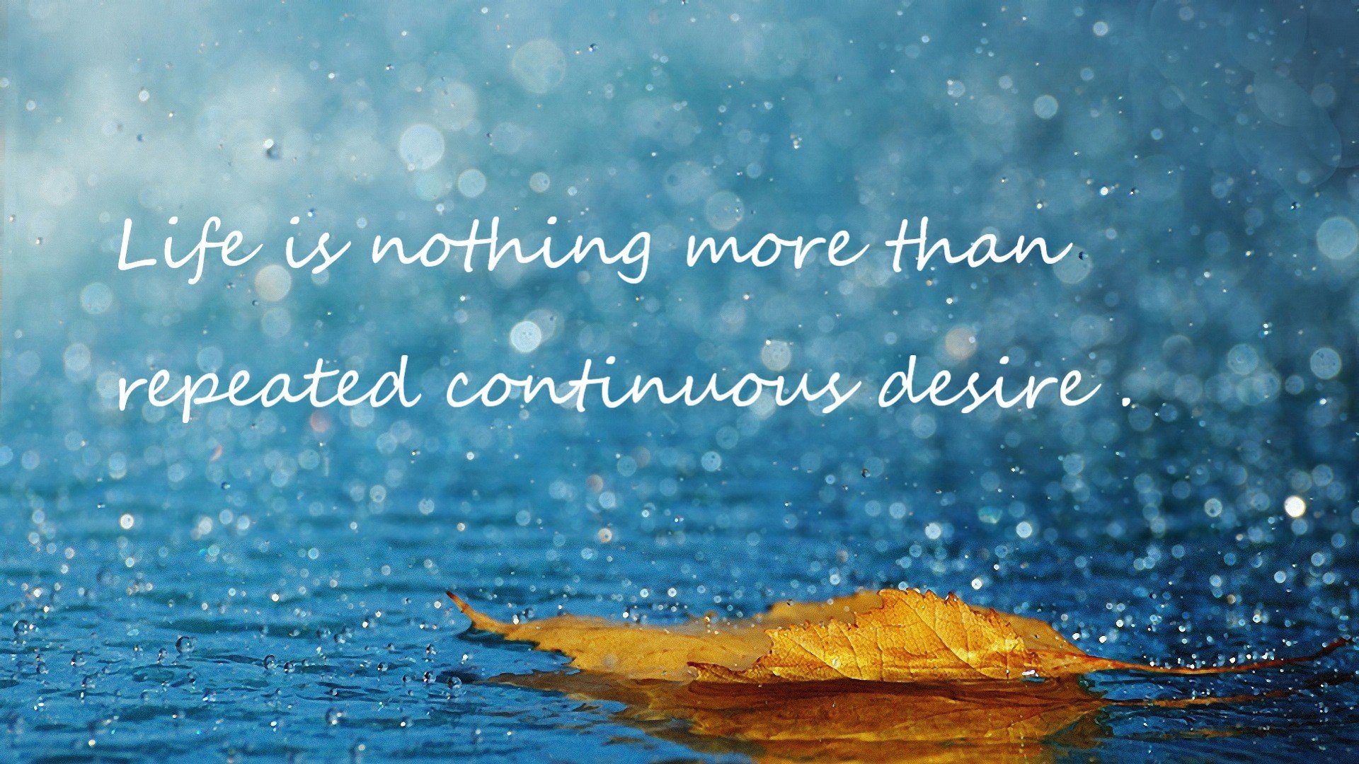 随机中国体育彩票·2024年全国大学生象棋锦标赛在深圳理工大学开赛，大学象棋比赛