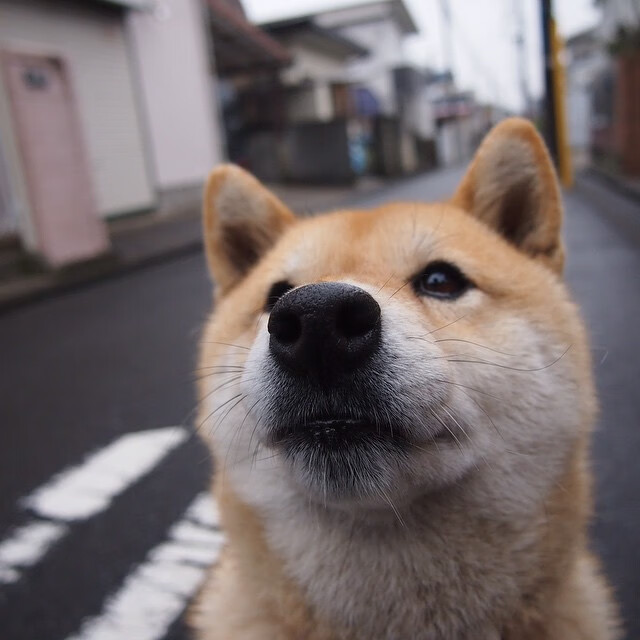 随机前锋回撤参与组织是否弱化中场防守覆盖，回撤型前锋