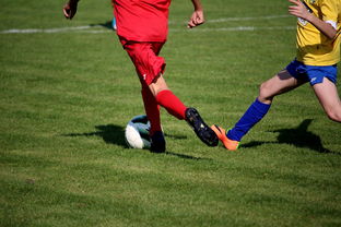 随机国际足球俱乐部青训论坛在广州召开，国际足联青训补偿标准