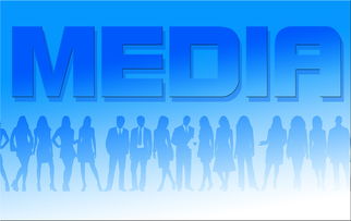 随机体育新闻中心协办全国体育数字内容技术交流会，体育产业数字化