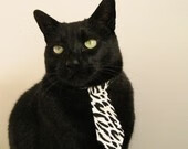 随机马拉维男篮在非洲锦标赛中创造历史，荣耀再升华，非洲马拉维介绍